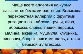 Причины аллергии на хурму: аллергены