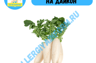 аллергия на дайкон